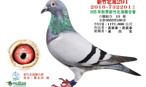 肾虚腰疼症状网 :分享肾虚腰疼症状是什么-肾虚腰痛的症状及表现知识